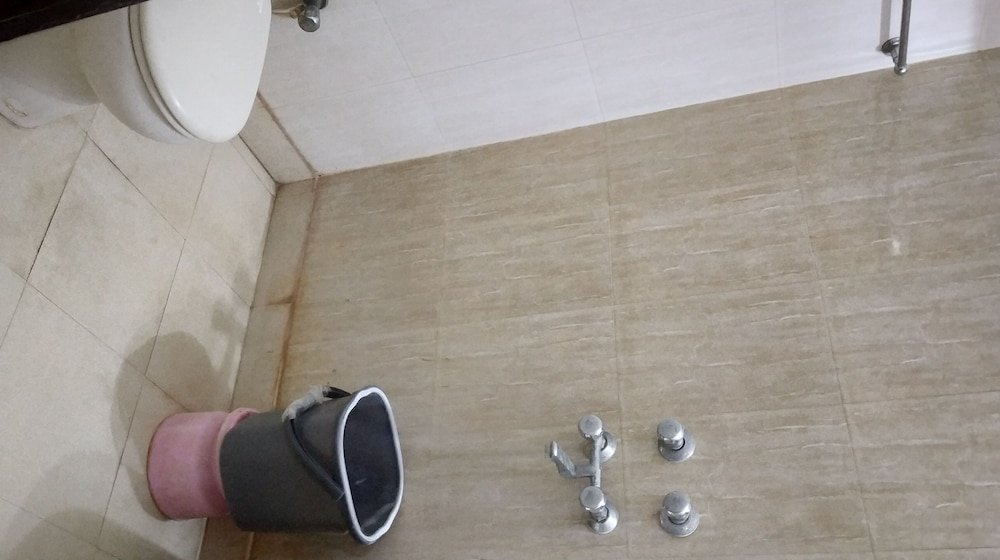 Фото Oyo 14710 Hotel Pallvi Palace