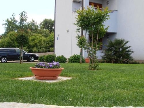 Фото Apartments Bogović