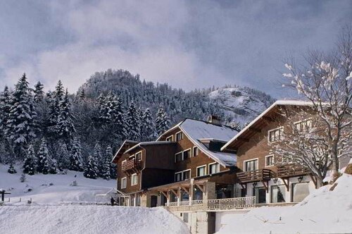 Гостиница Chalet Hôtel La Mainaz Restaurant & Resort в Же