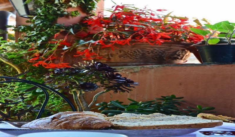 Фото La Terrazza dei Pelargoni B&b