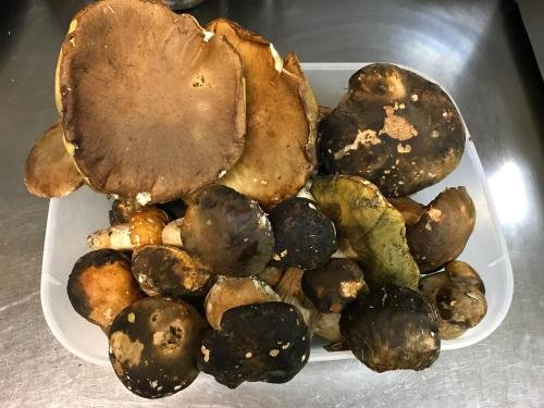 Фото Hotel San Nicola