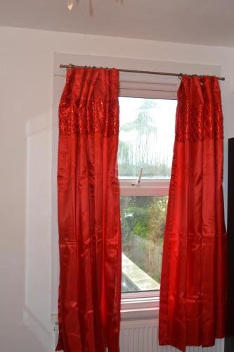 Фото Forest in City Lodge