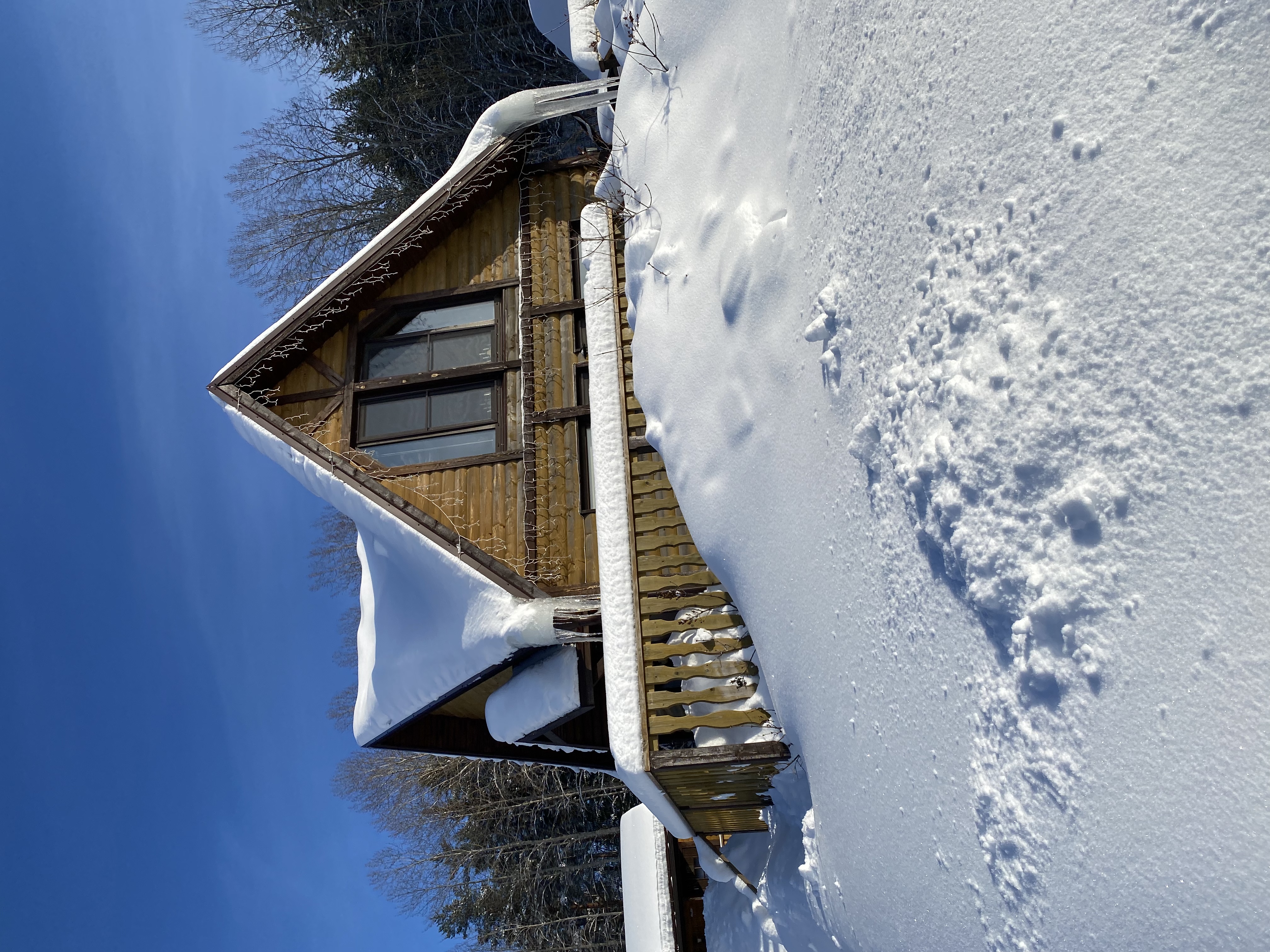 Фото Тихотут