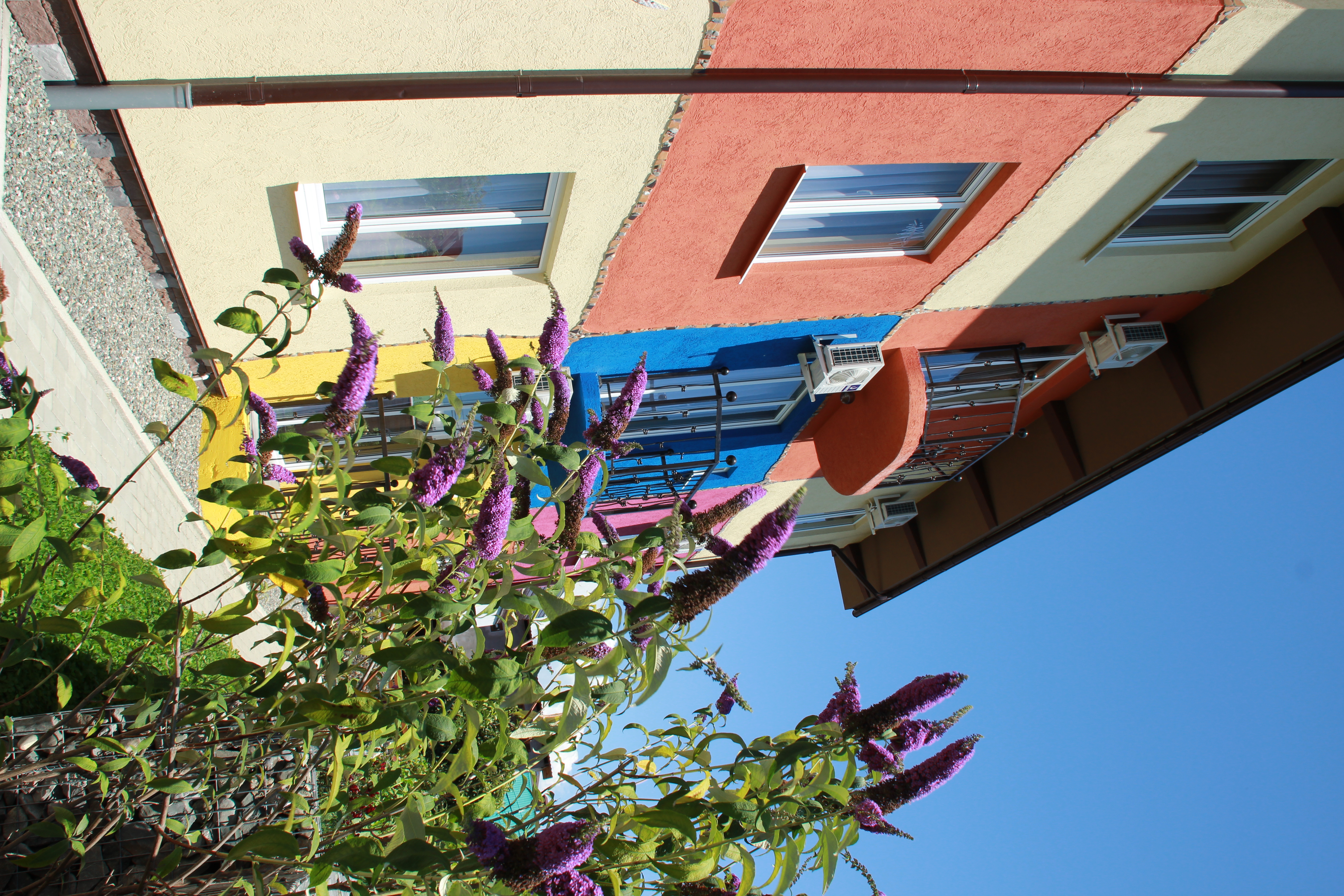 Фото Модерато