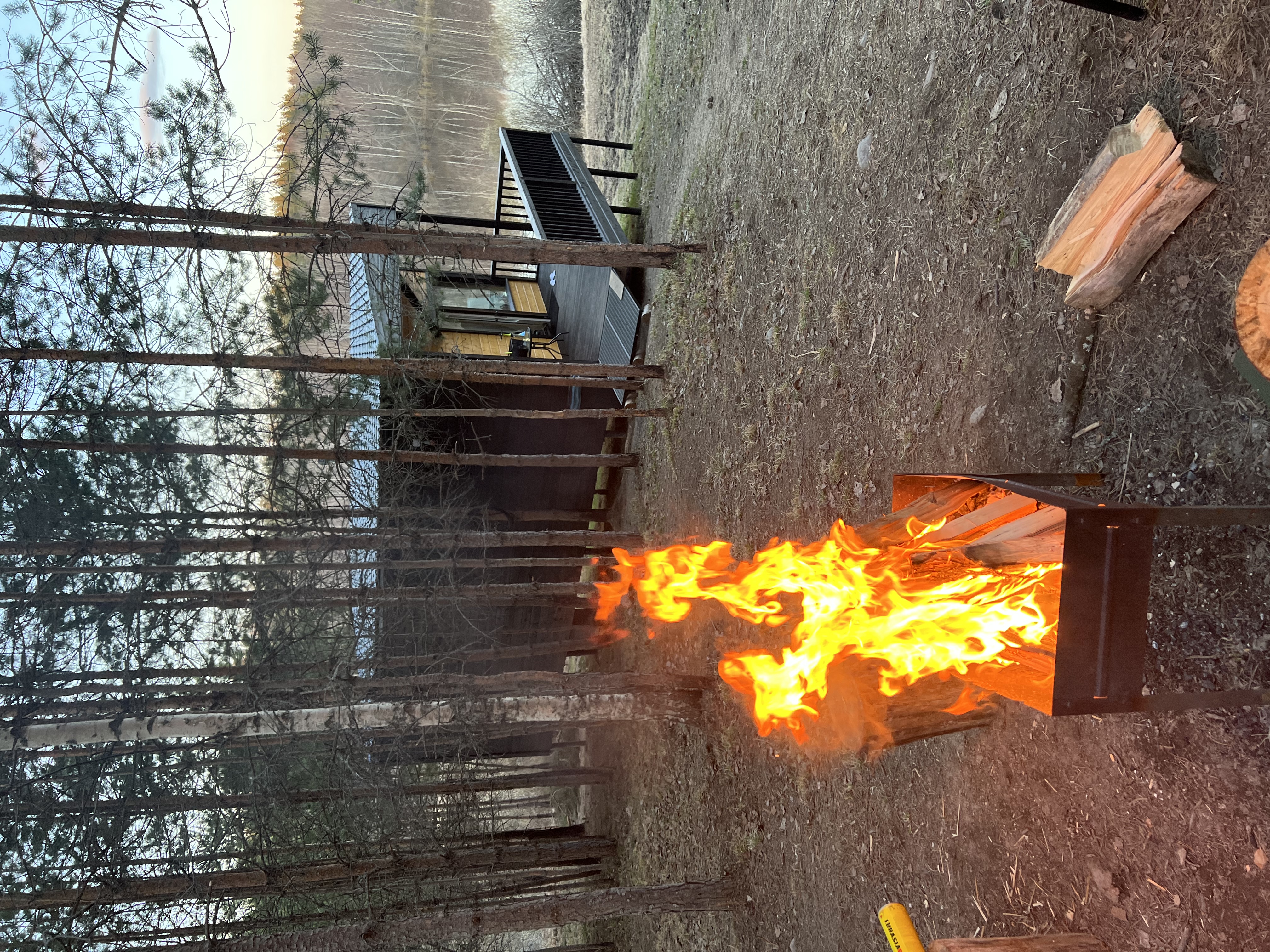 Фото Дом в лесу Холмово