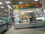 Пасека Фокина (Volzhsky, ulitsa Mira, 42А), honey and beekeeping