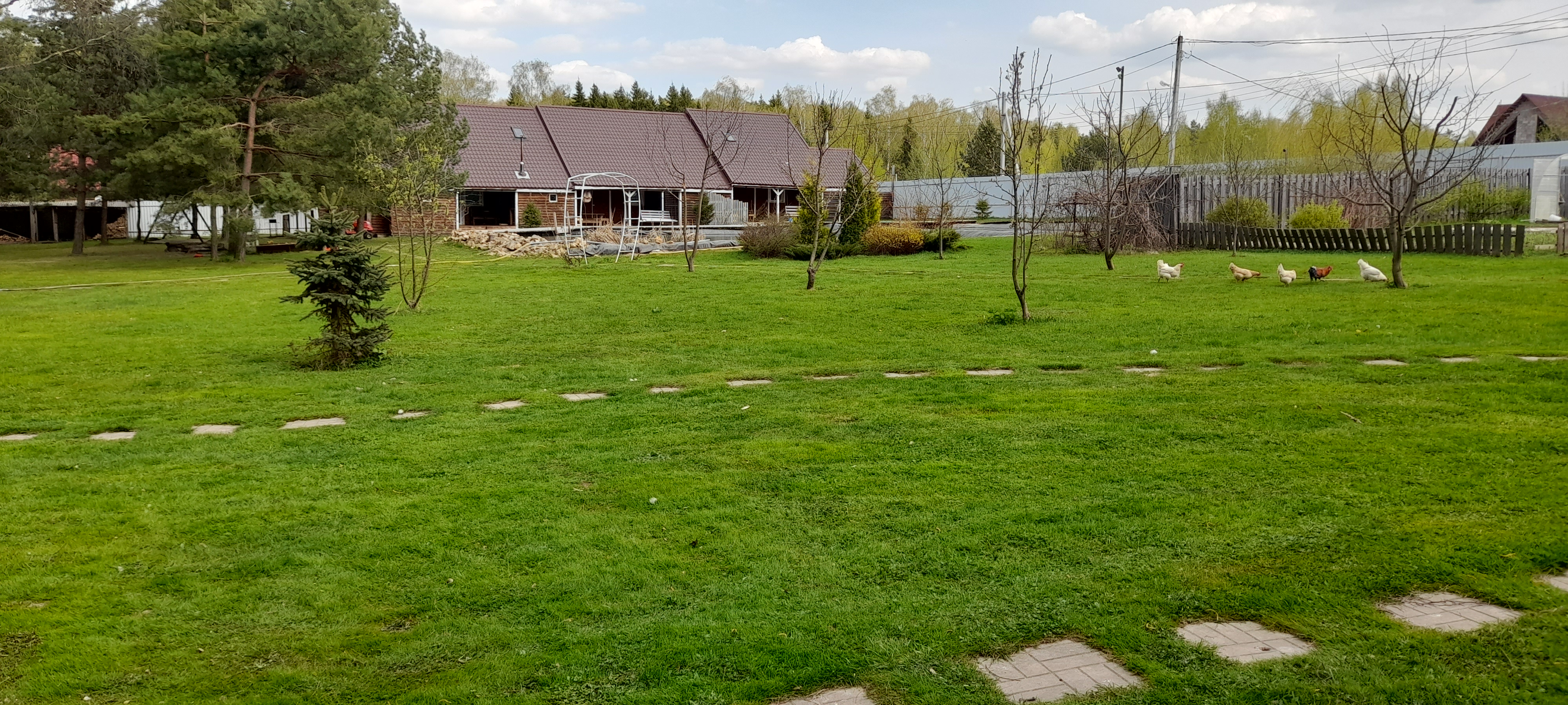 Фото Зелёная горка