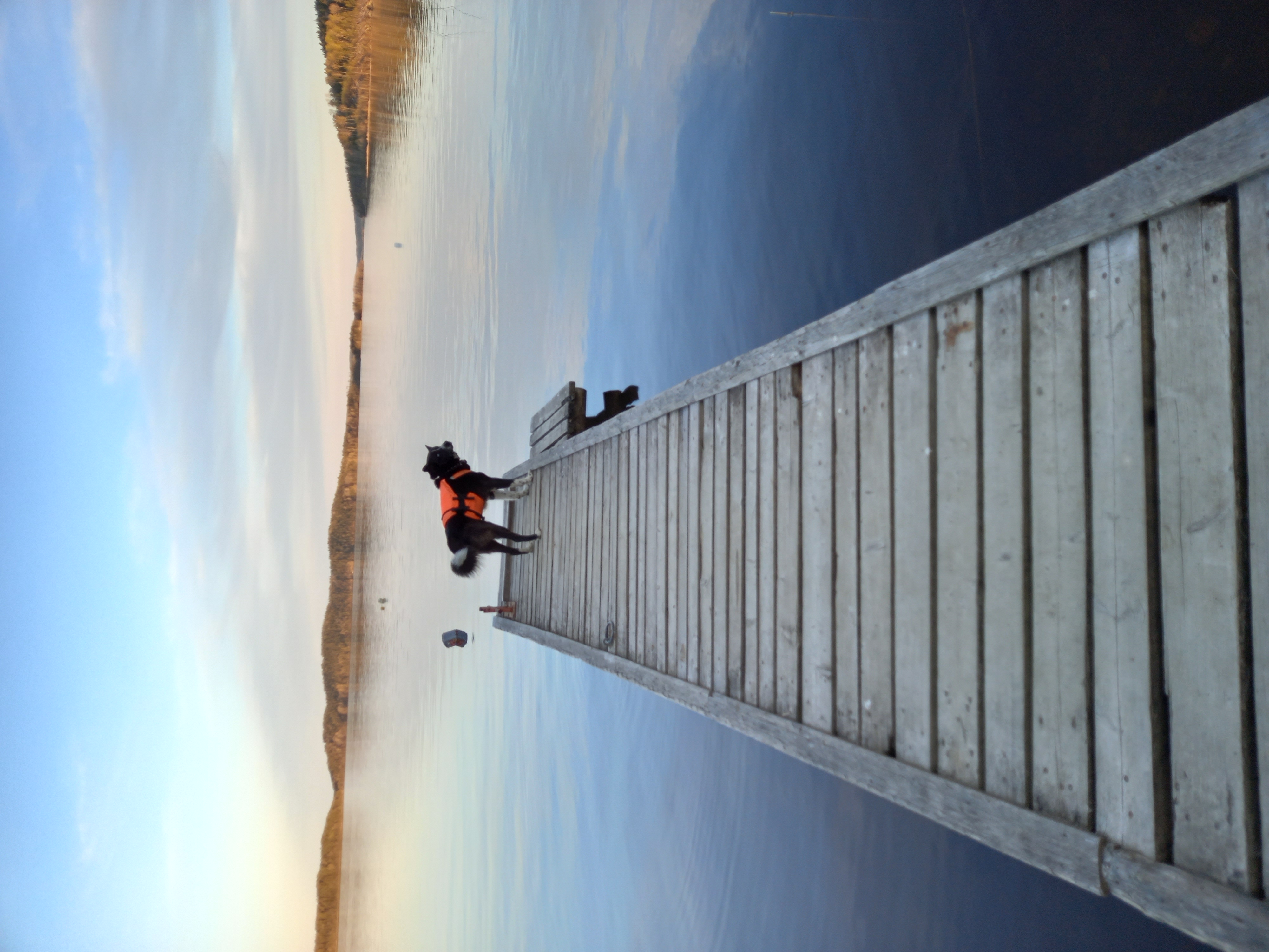 Фото Хуторок у Сан Саныча