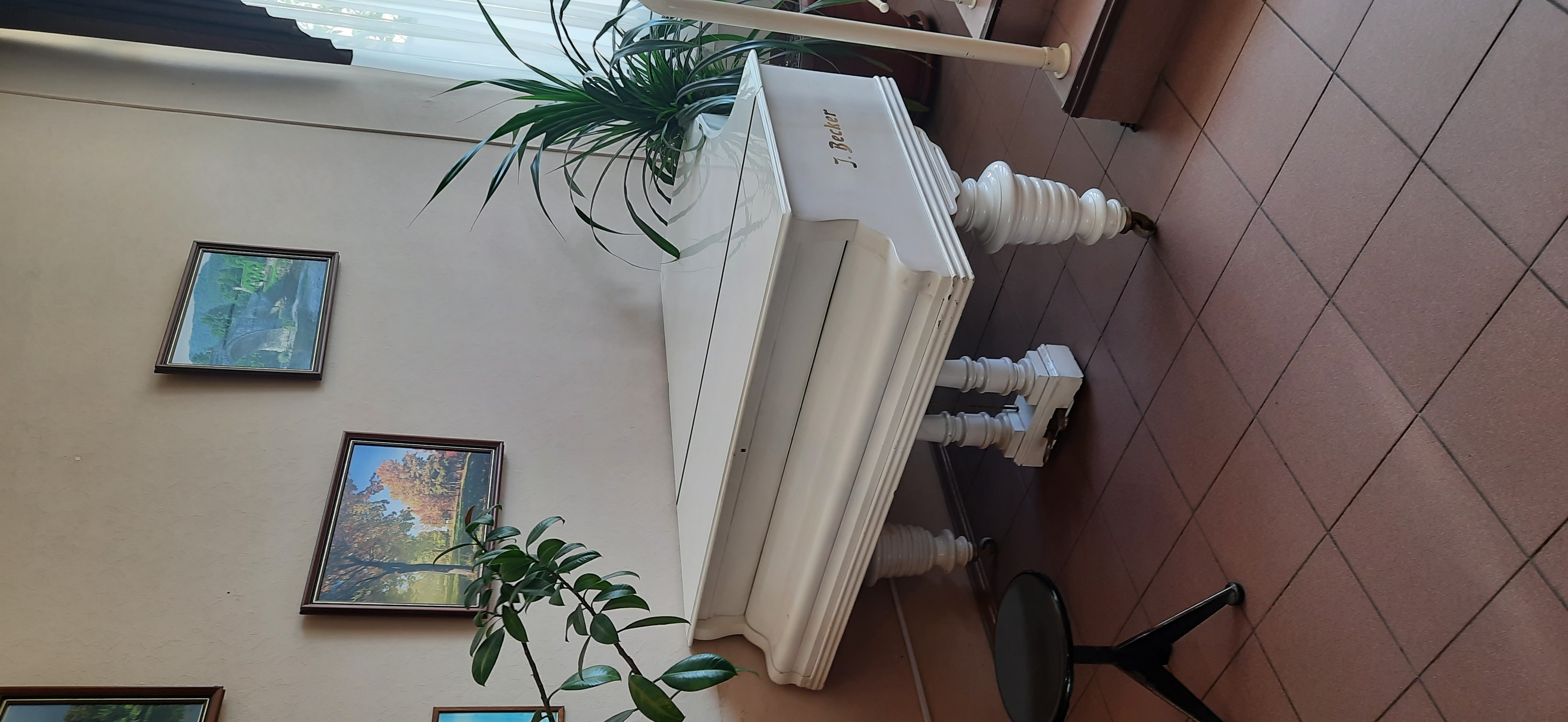 Фото Континенталь