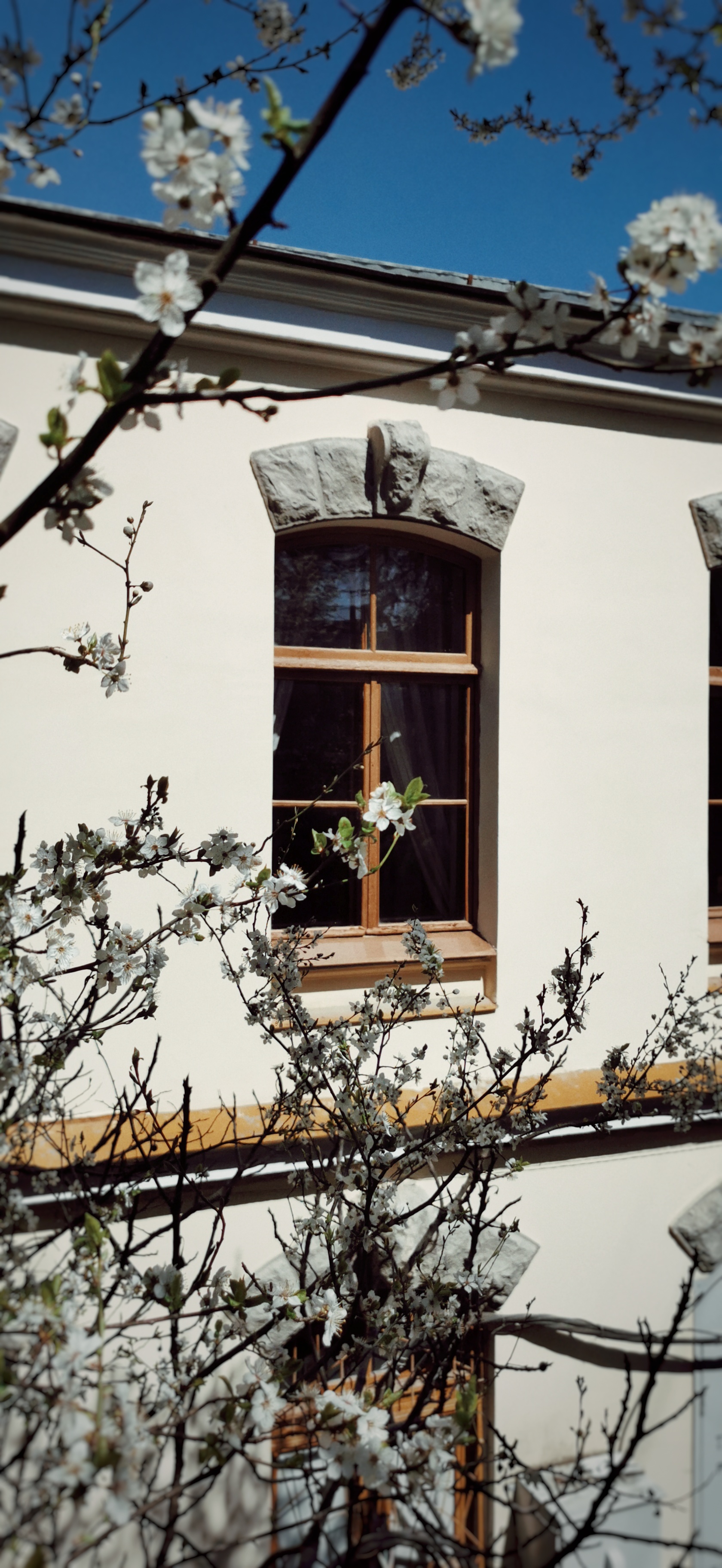 Фото Вилла 7