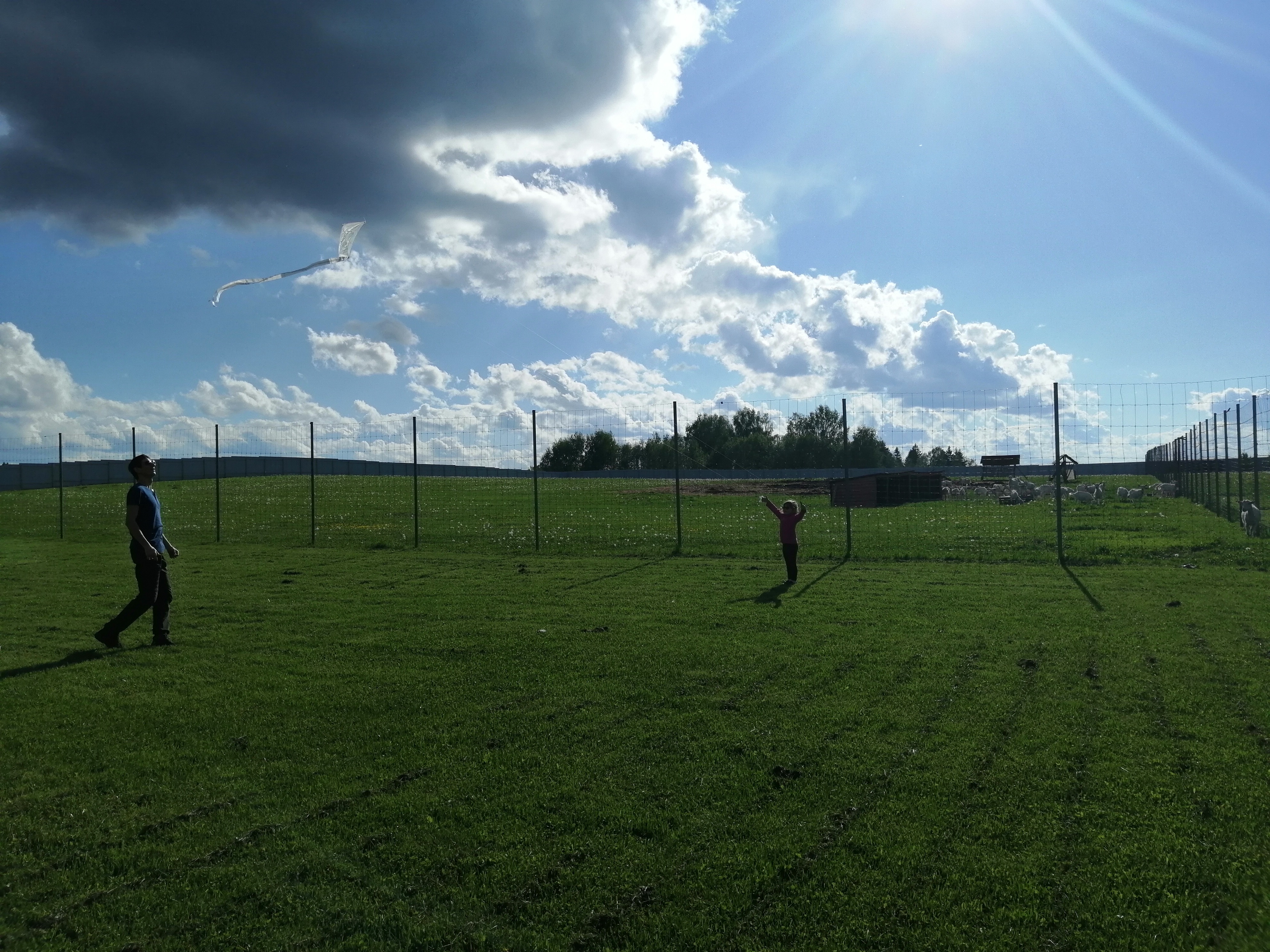 Фото Экоферма Александровский спас