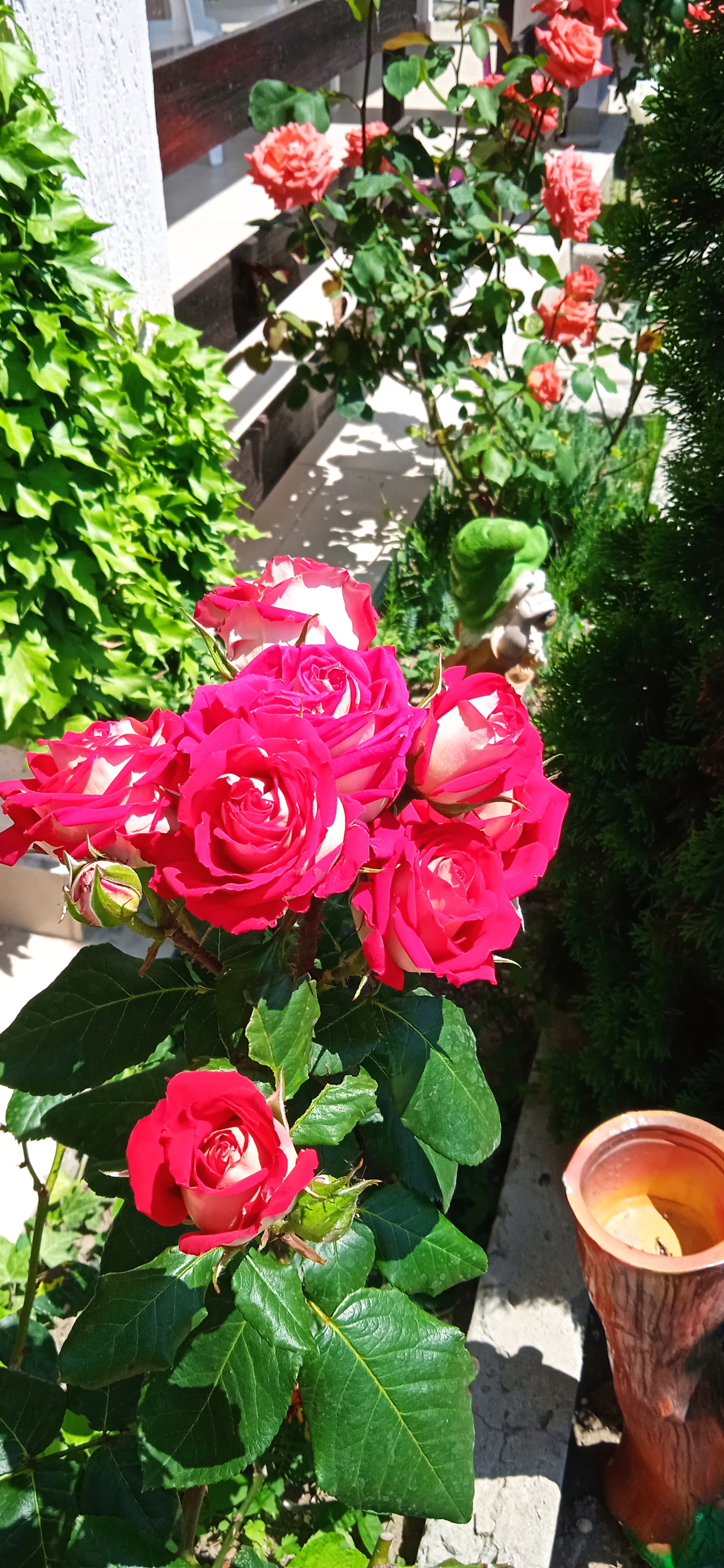 Фото Пчелка