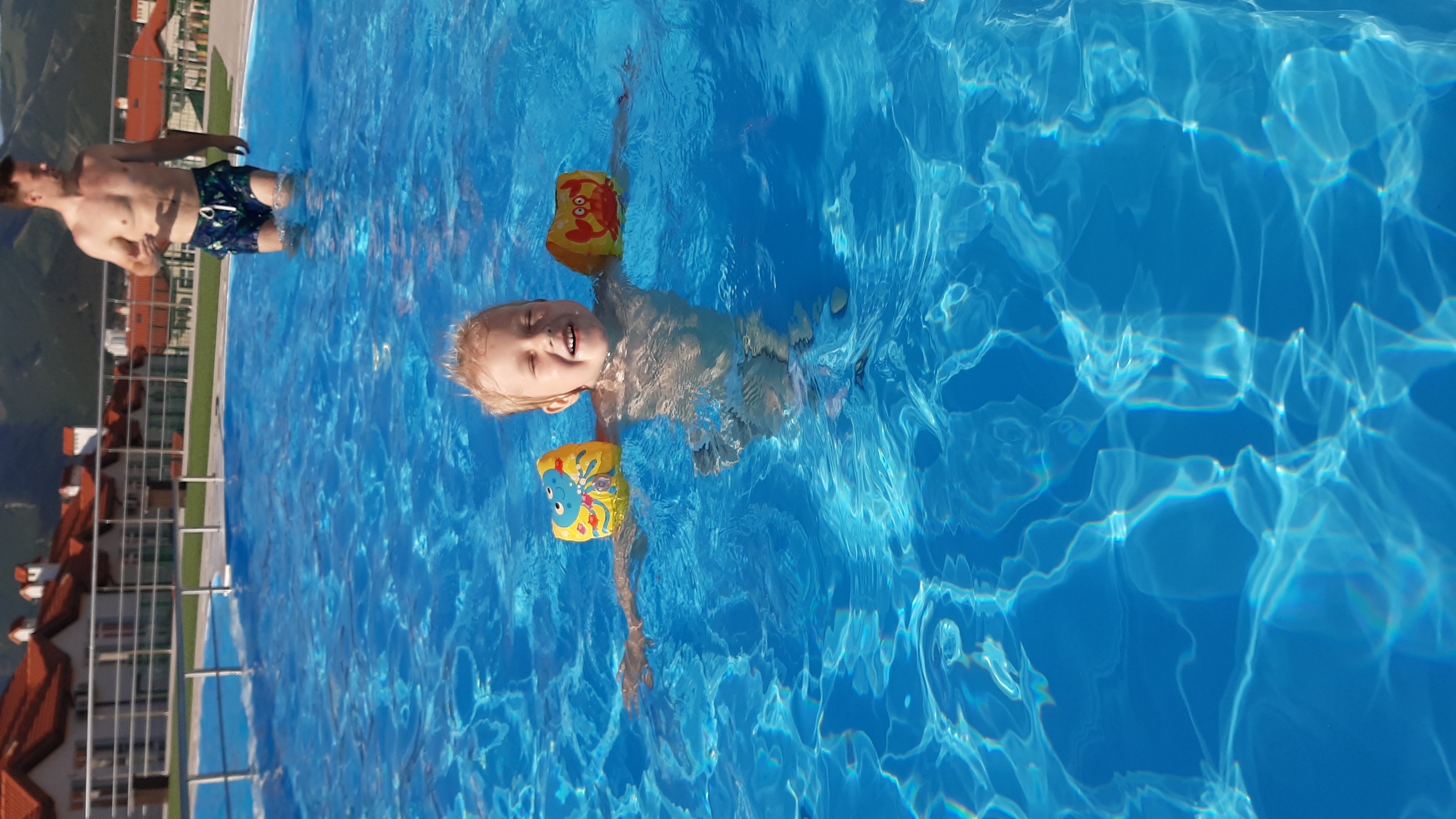 Фото Кедровая роща