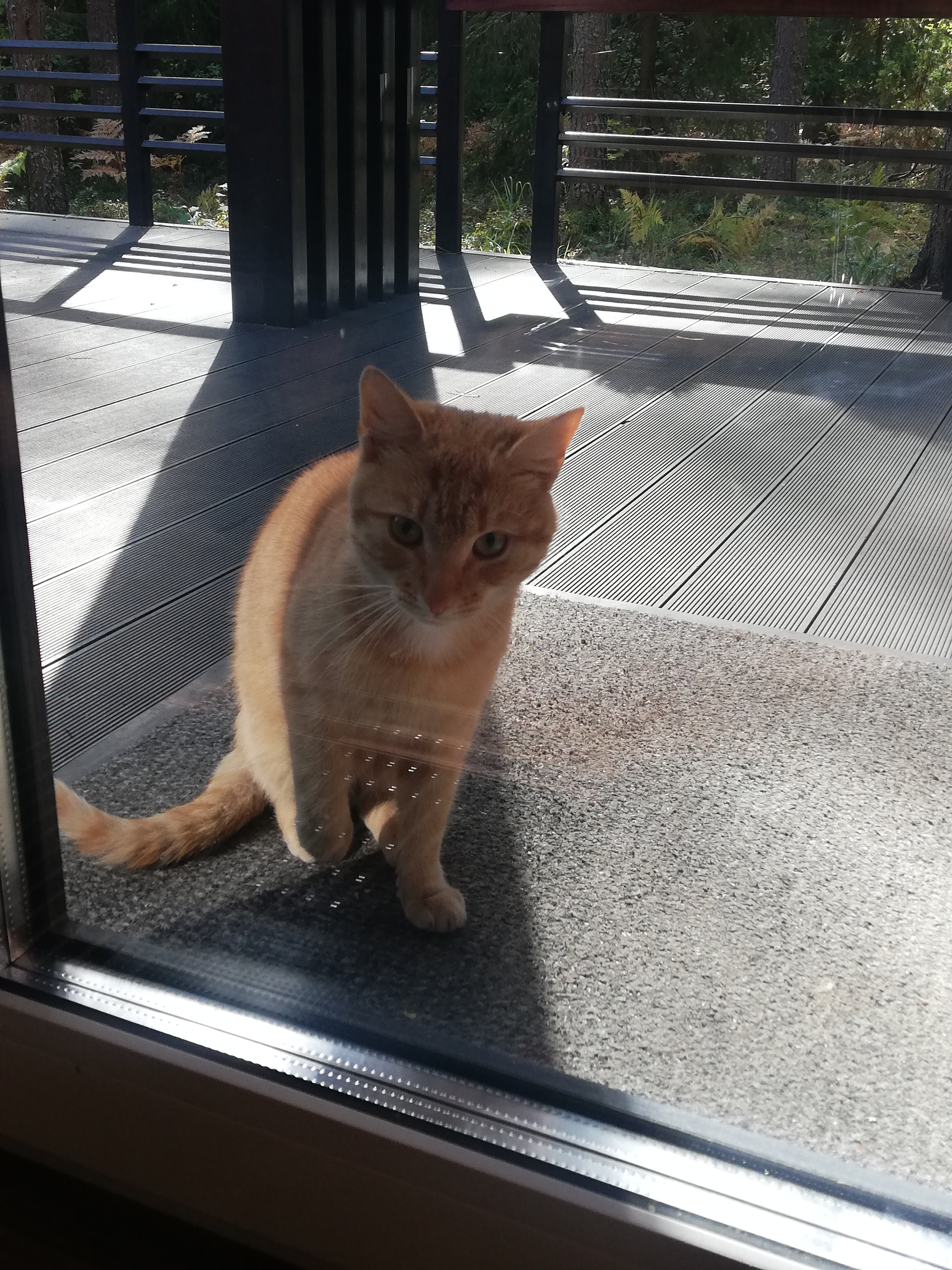 Фото Seliger Wind