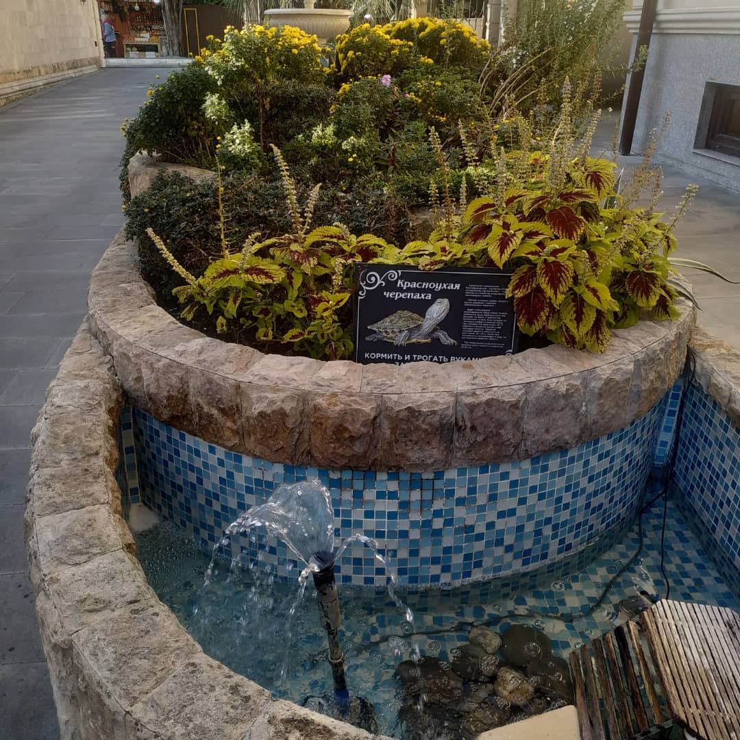 Фото Колизей