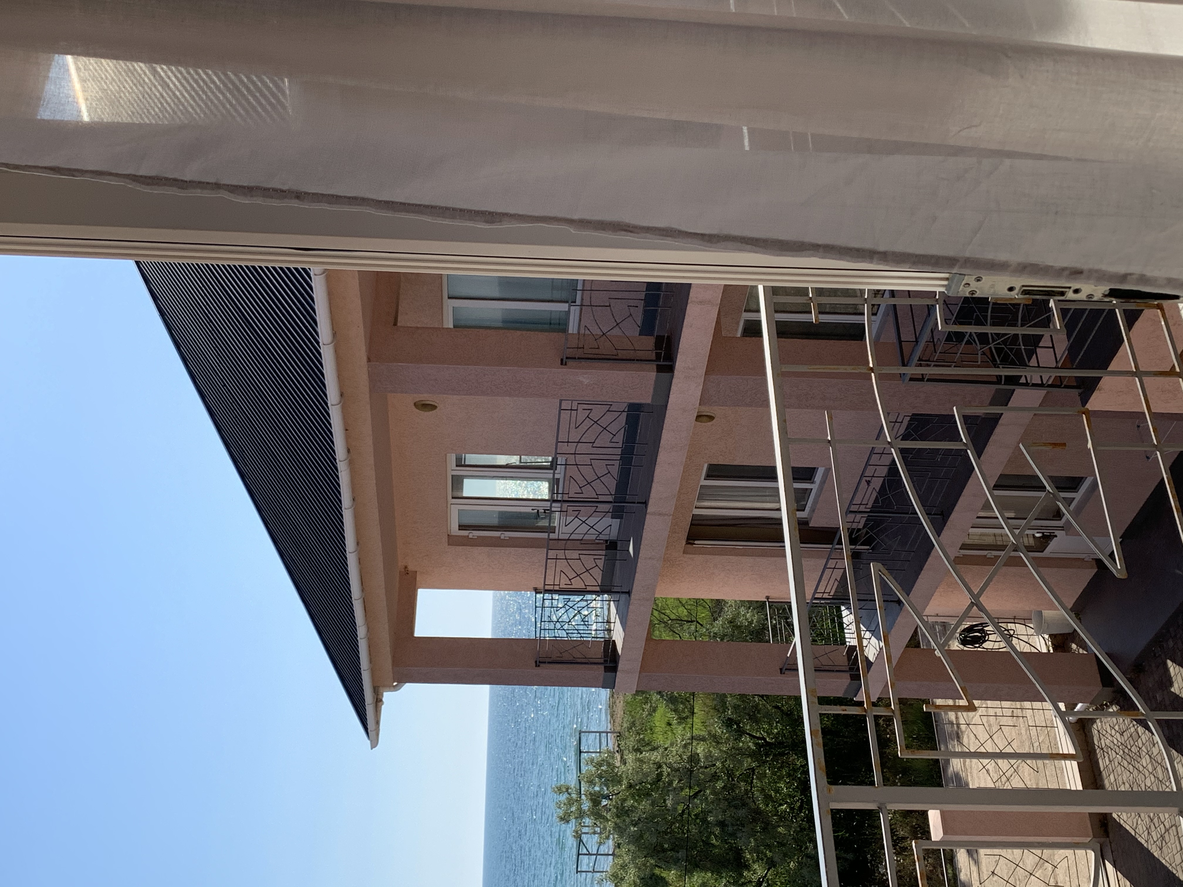 Фото Шафран