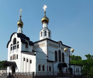 Кафедральный собор Благовещения Пресвятой Богородицы (Lenina Street, 34) ، كنيسة أرثوذكسية