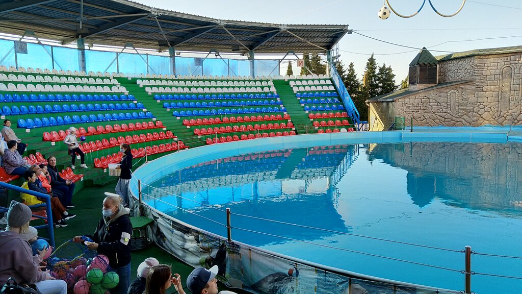 Dolphinarium Адлерский дельфинарий, Sochi, photo