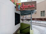 7 Cvetik (Kirova Street, 47), flower shop
