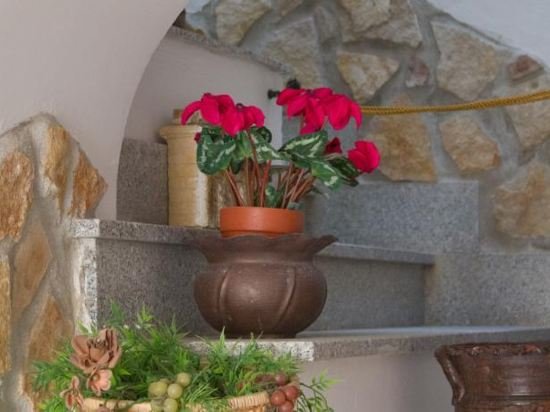 Фото B&b Casa Angelieri