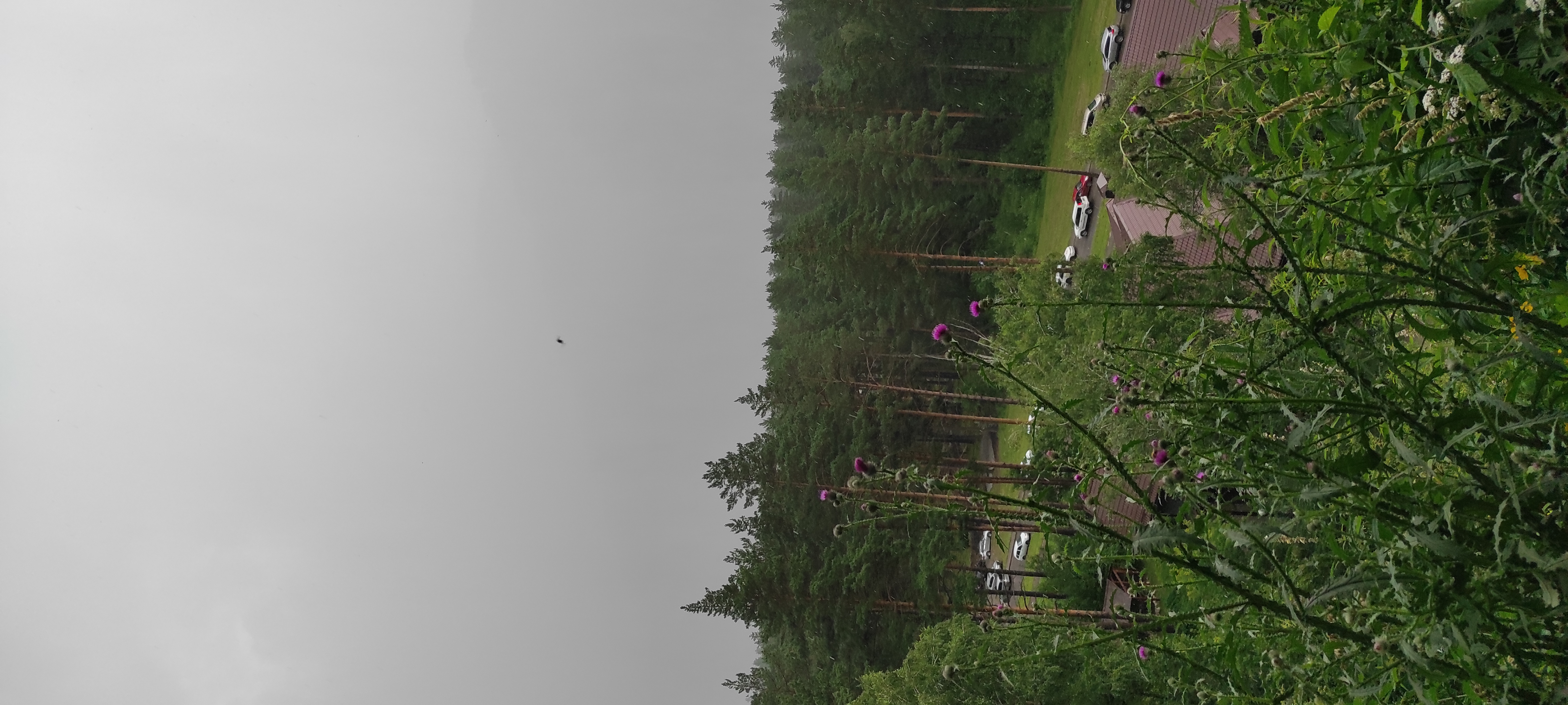 Фото Скала Алтая