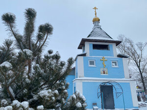 Церковь Покрова Пресвятой Богородицы (ул. Истья, 18А, село Тырново), православный храм в Рязанской области