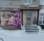 Аромат (ulitsa Sverdlova, 10) ، محل زهور