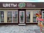 Роза мимоза (Социалистический просп., 130Б), магазин цветов в Барнауле