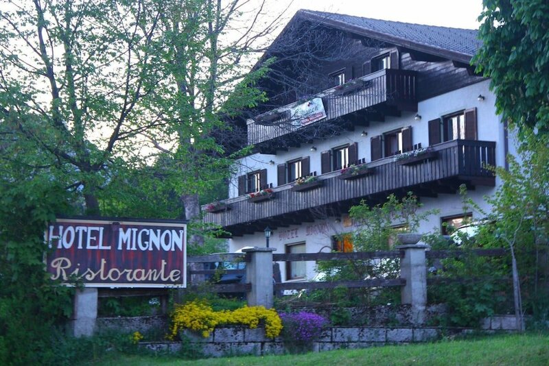 Гостиница Hotel Mignon