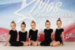 Mosgymnastics (Moscow, Starovatutinsky Drive, 6), sports club