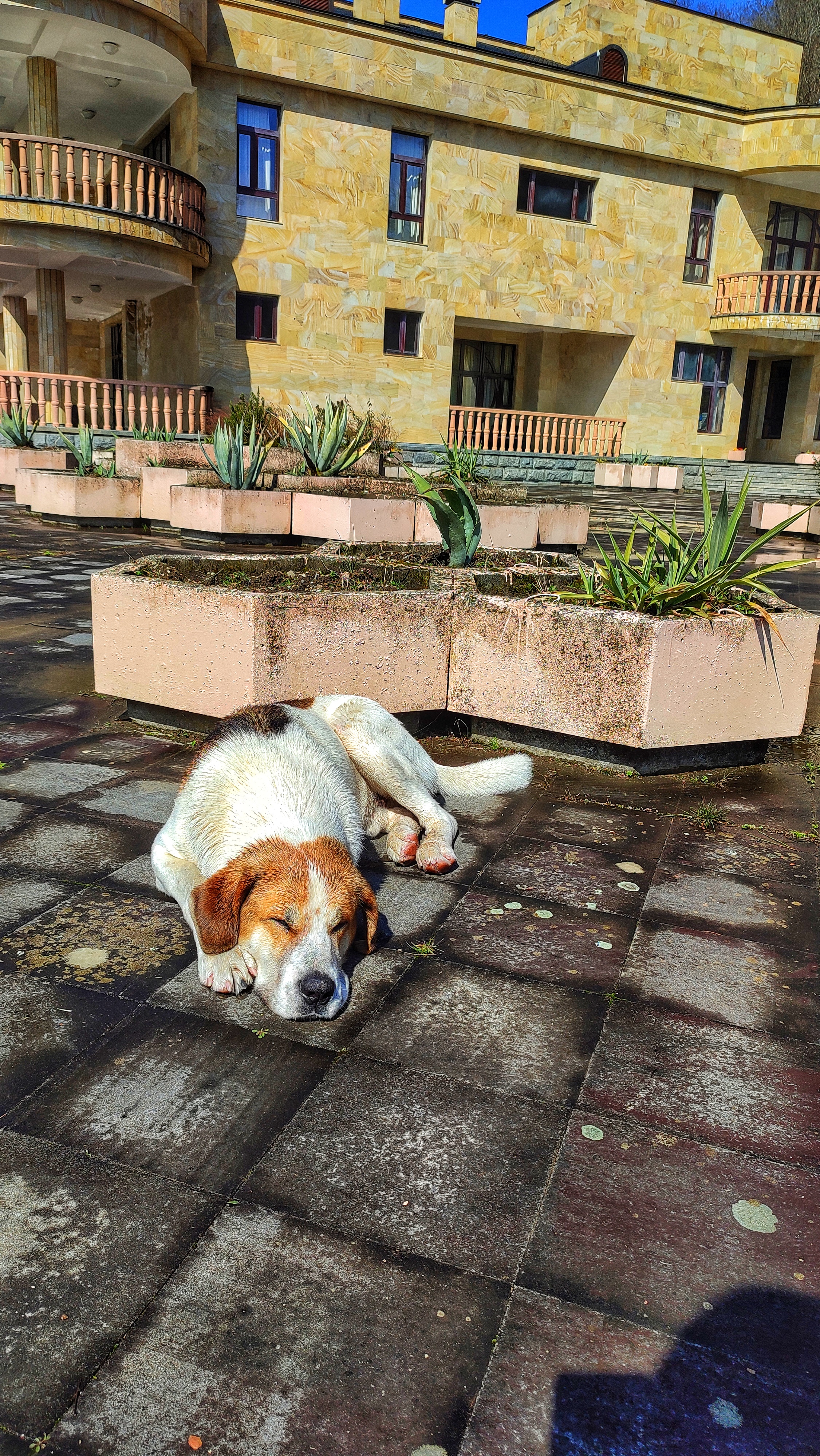 Фото Госдача Мюссера