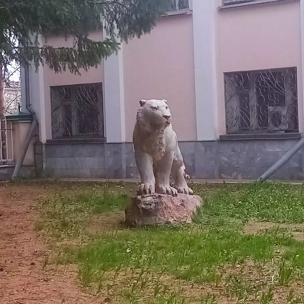 Proveedor de energía Khabarovskaya remontno-montazhnaya kompaniya, , foto