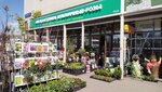 Цветочная рассада (MKAD, 14th kilometre, 4), flower shop