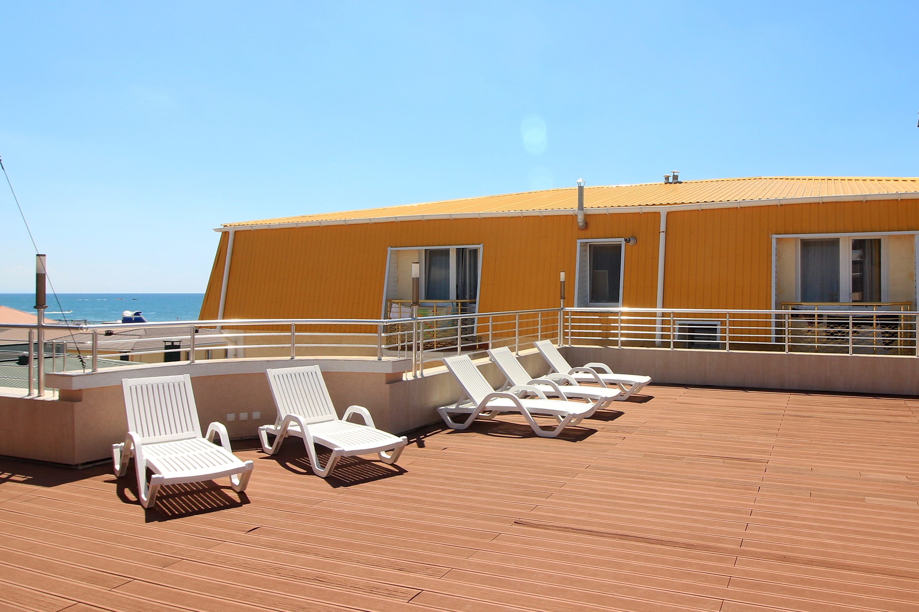 Фото Игуана