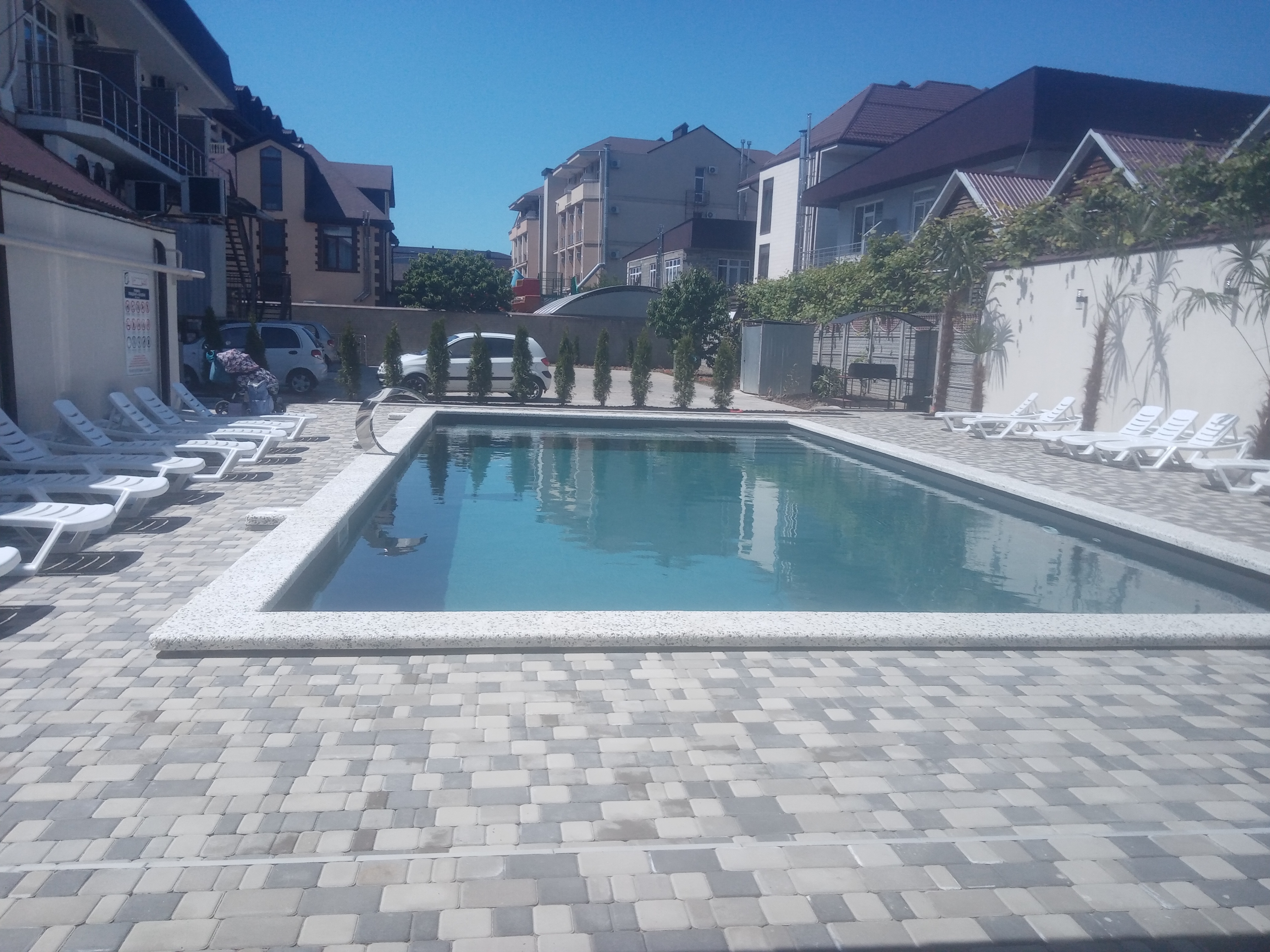 Фото Афалина+