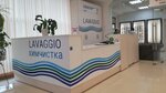 Lavaggio (Gagarina Street, 24), dry cleaning