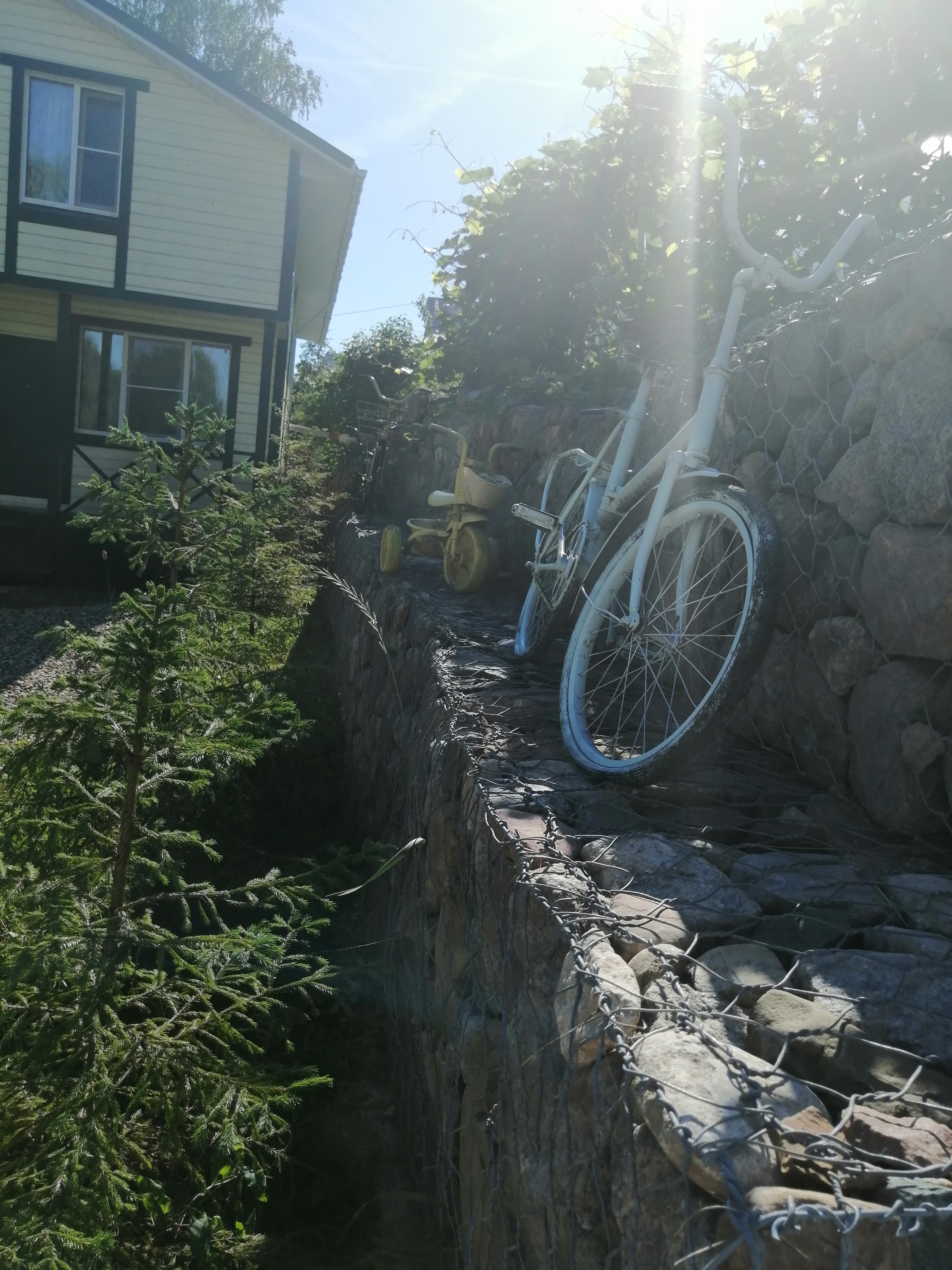 Фото У Пруда