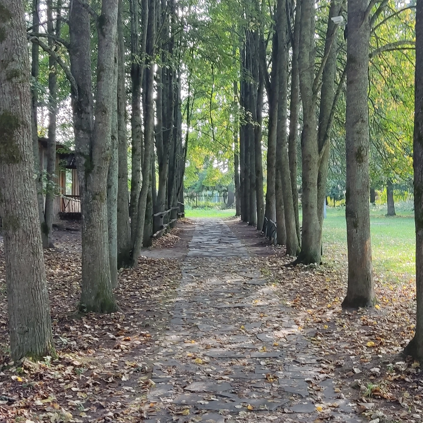 Фото ЭтноуСАДьба ЗдРАвоМыслящих