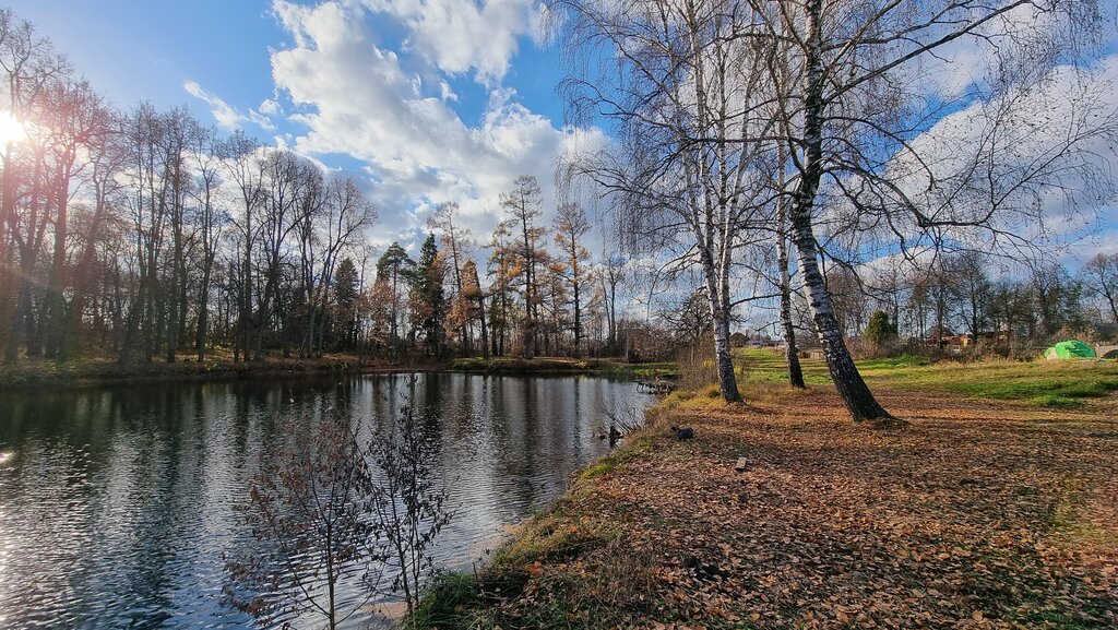 معلم جذب سياحي Estate of the Bestuzhev-Ryumins ، مقاطعة نيجني نوفغورود، صورة