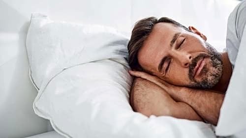 Фото Sun Plaza Motel