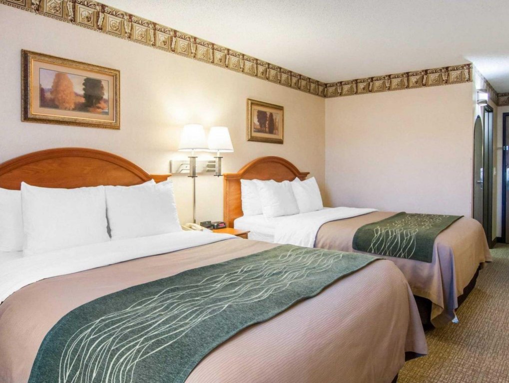 Фото Comfort Inn South