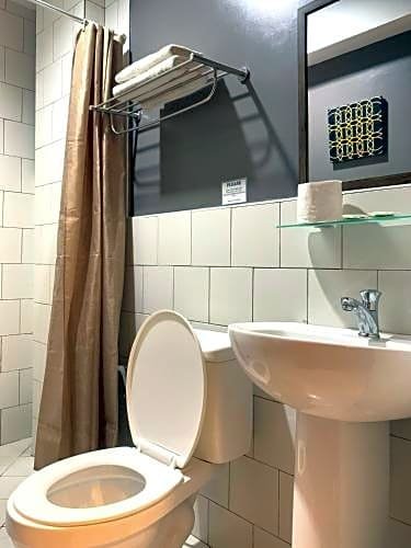 Фото Aliria Bed and Breakfast