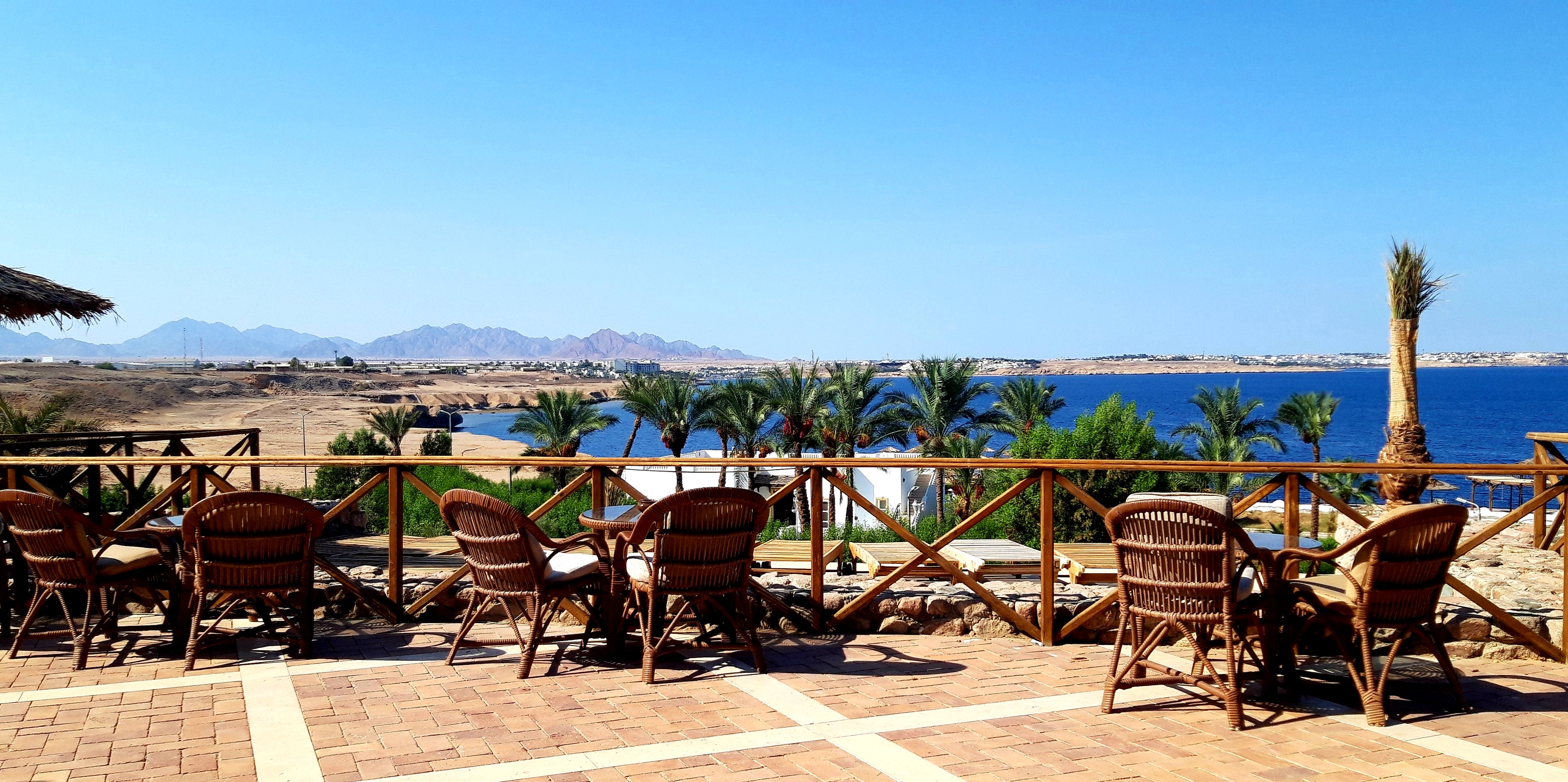 Фото Club Reef Resort