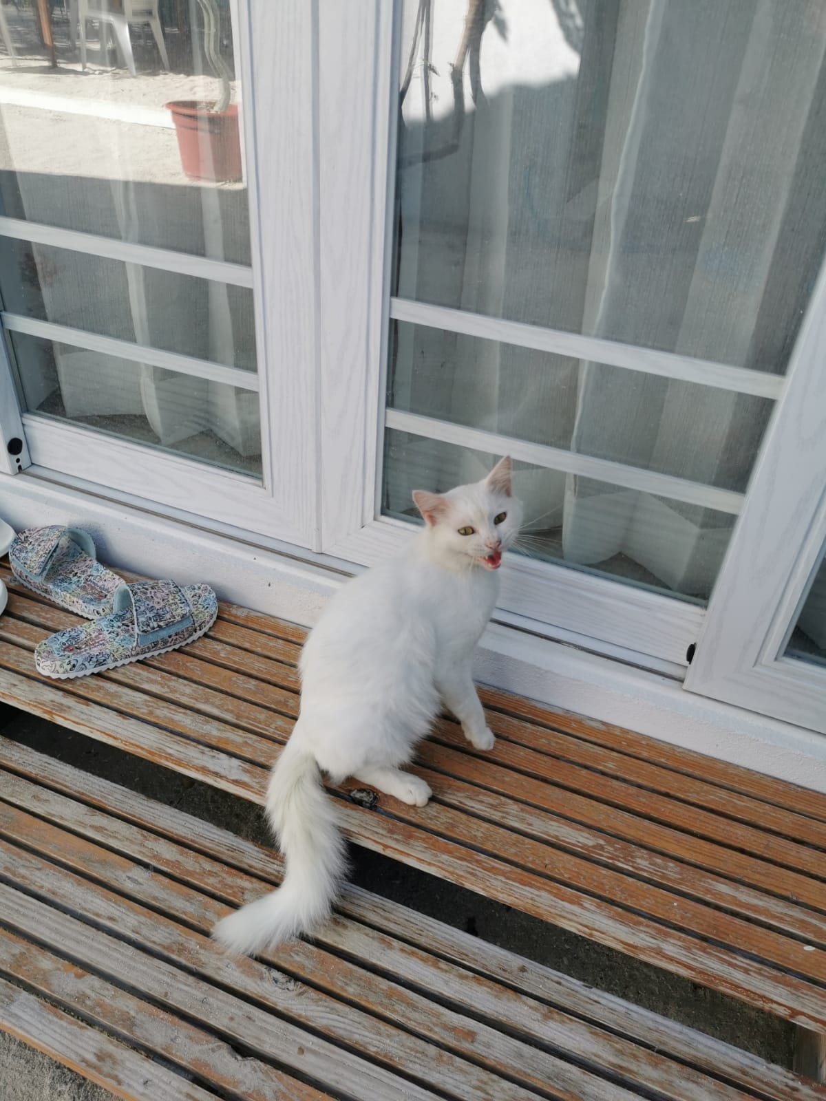 Фото Quicksand Rasdhoo