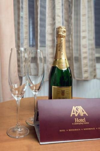 Гостиница Hotel Ara Restauracja Club в Ястшембя Гура