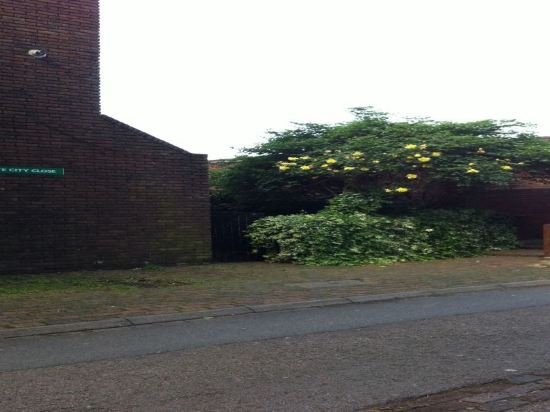 Фото Westfield Apartments