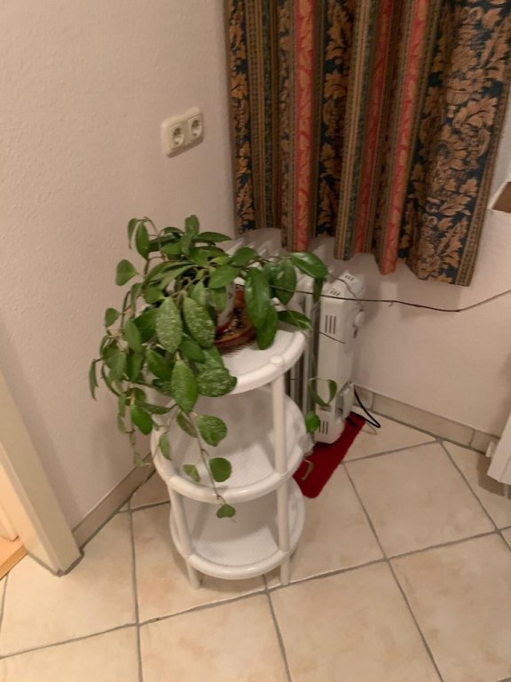 Фото Haus zur Pfauen