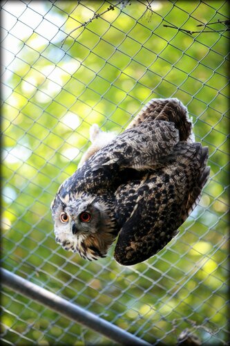 Zoo Plättli-Zoo AG, Frauenfeld, photo