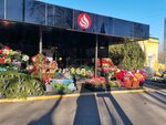 Цветы (4th Roschinsky Drive, 30с11), flower shop