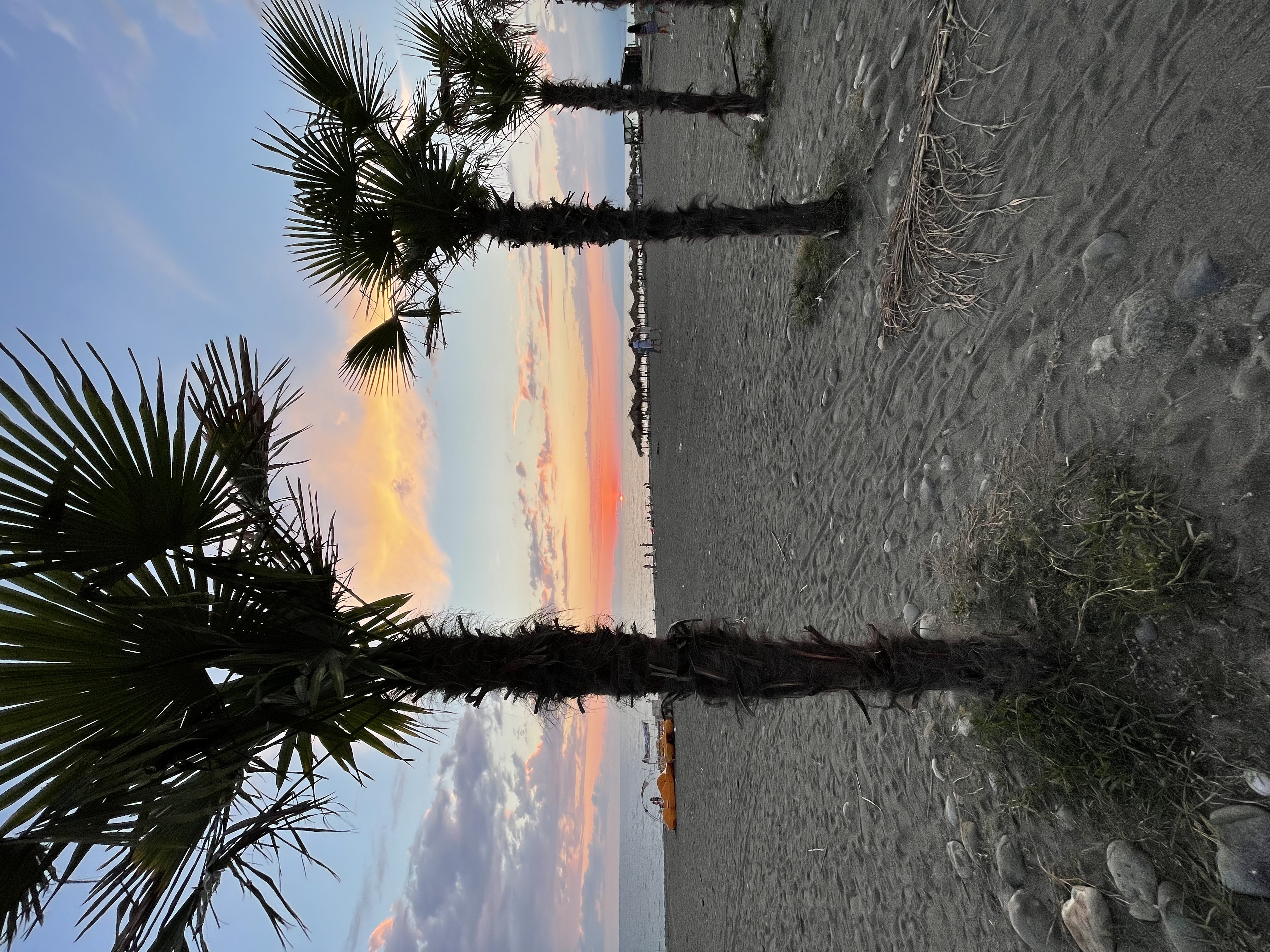 Фото Дикая Гавань